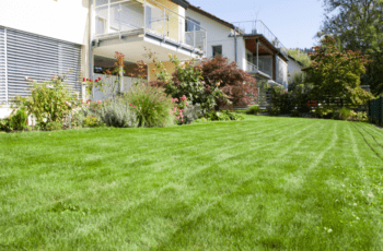 Garteneinsicht_mit Rasen