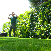 rasen-ueber-uns-garten-rees-freiburg