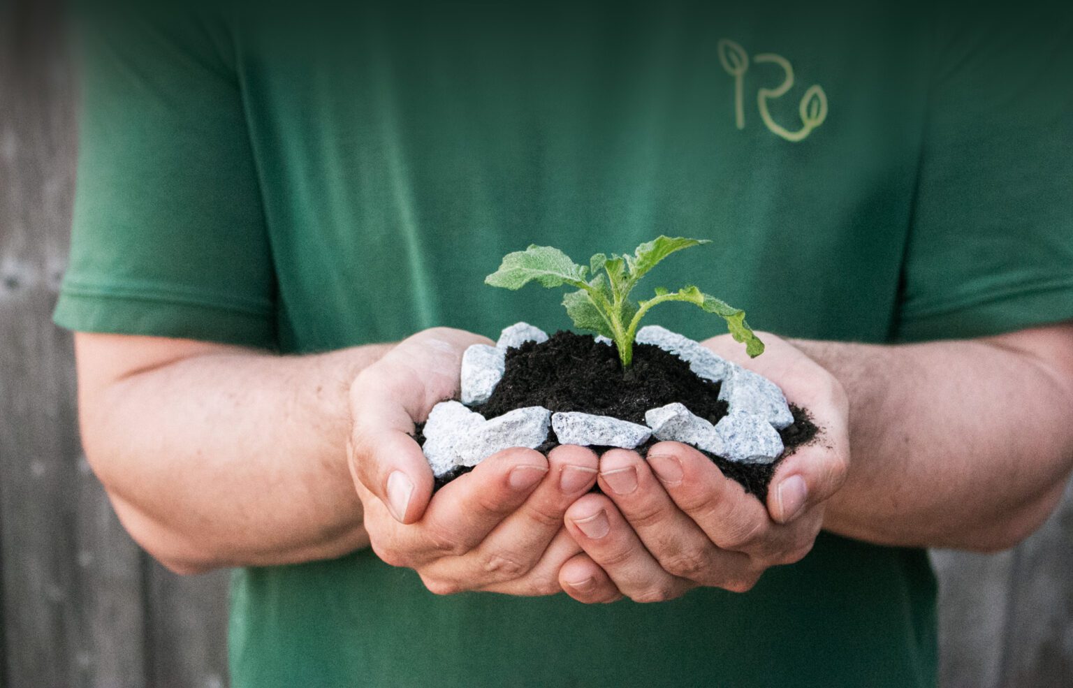 Pflanze in Erde mit Steinen. Hintergrund mit Landschaftsgärtner in grünem T-Shirt.