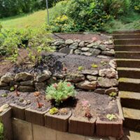 Terrassierung mit neu gepflanzten Setzlingen