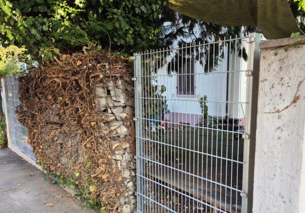 Titelbild neuer Zaun statt beschädigte Mauer