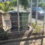Neuer Doppelstabmattenzaun mit Wildem Wein